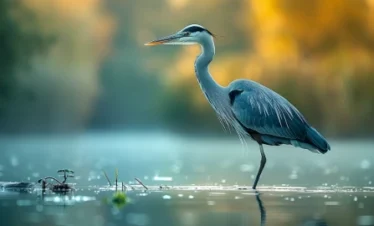 slider-image-1