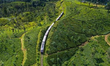 train